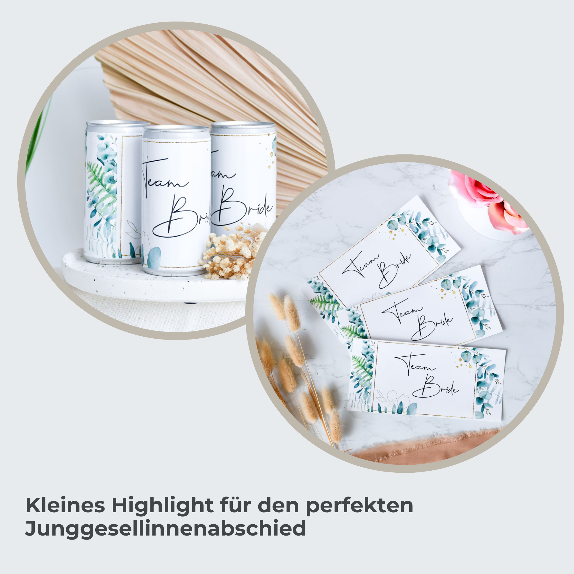 JGA Dosen Etiketten - Eukalyptus